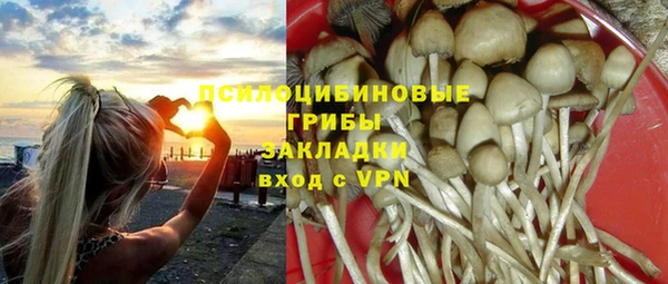 соль ск Абдулино